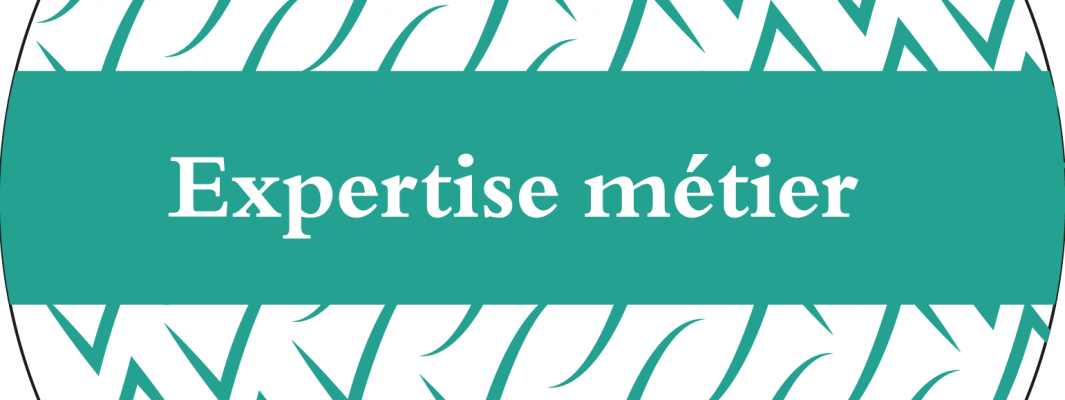 resolvis-page-d-accueil-expertise