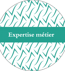 resolvis-page-d-accueil-expertise